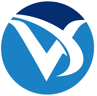 Vaston Estratégia Digital